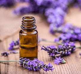 Lavender-oil.jpg