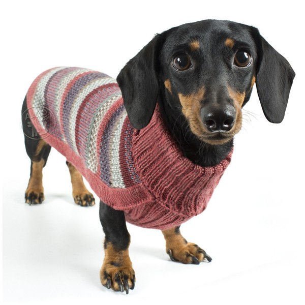 Miniaturbild: Dackel mit Pullover Alqo Wasi I Kläfferkram