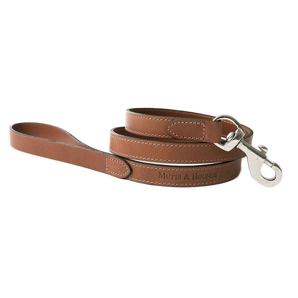 Lederleine Mutts & Hounds Shop Schweiz I Kläfferkram