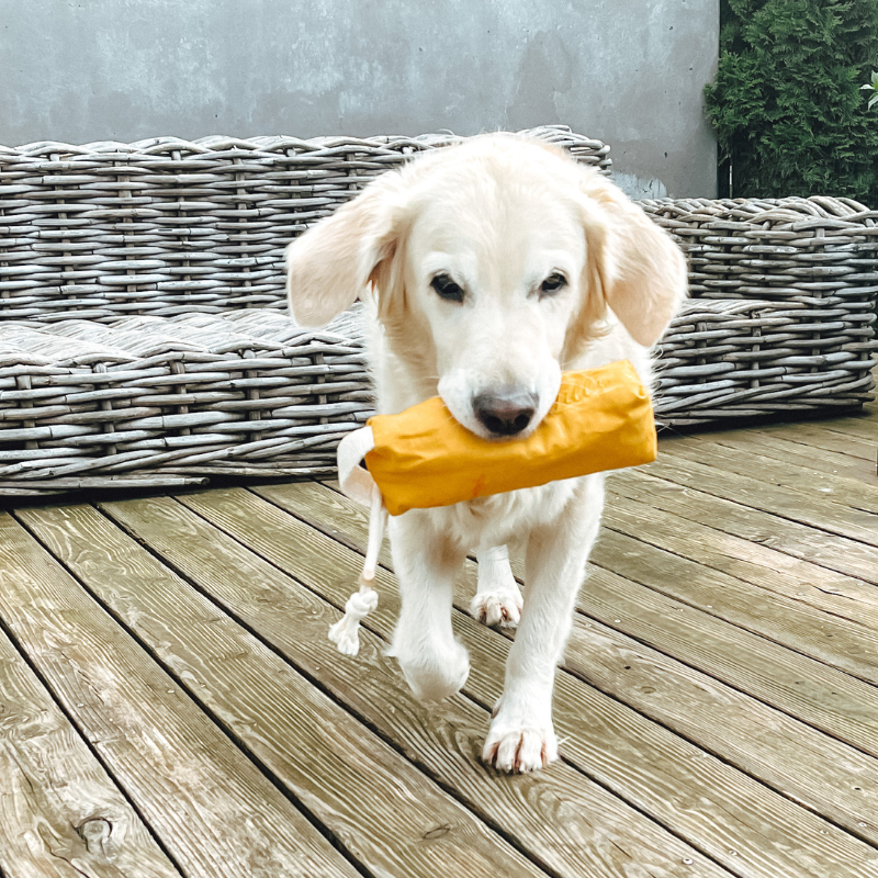 Miniaturbild: LILL'S Futter Dummy aus Bio-Canvas "CLARA" I GREY
