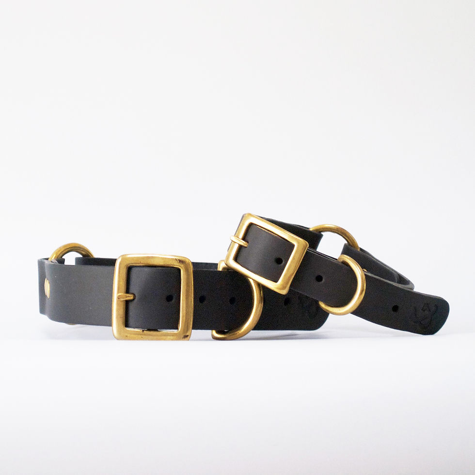 Leder Hundehalsband grau - Fetch & Follow Schweiz - Kläfferkram