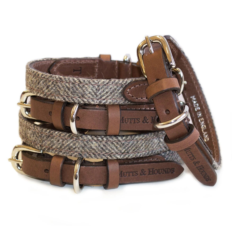 Mutts & Hounds Herringbone Halsband I Leder & Tweed I Kläfferkram I Hundeboutique Schweiz