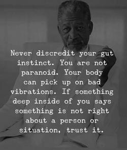 Schermafbeelding 2023-02-08 om 16.31.28