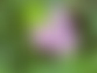 5月後半のメッセージ