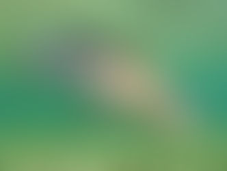 More Support for Arctic Grayling Initiative