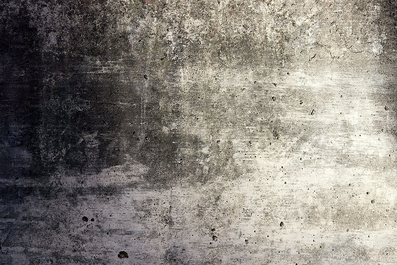 premium_photo-1673481886897-64bfc9a4b81c.jpg