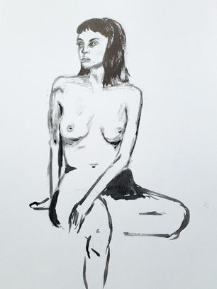 fig drawing.jpg
