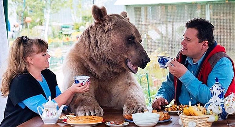 A man and a woman are sitting and having breakfast, while a bear sits between them at the table