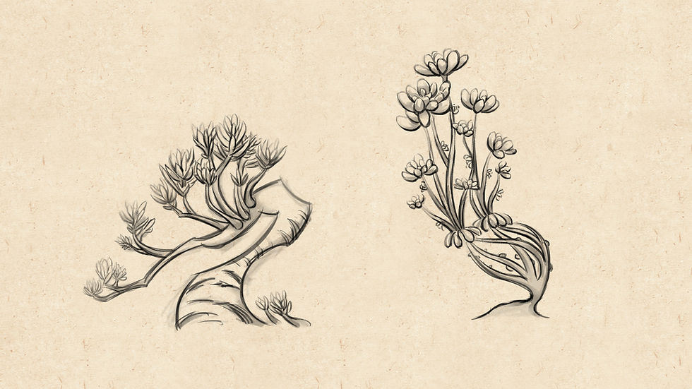 plant_outline_9