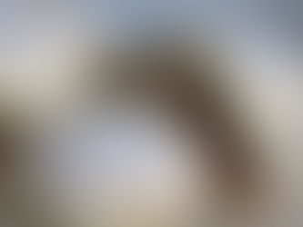 Ma'amoul Cookies (Date Filled Cookies)