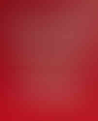 Museum of Pop Culture