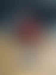 Raging by Barbara Weidell