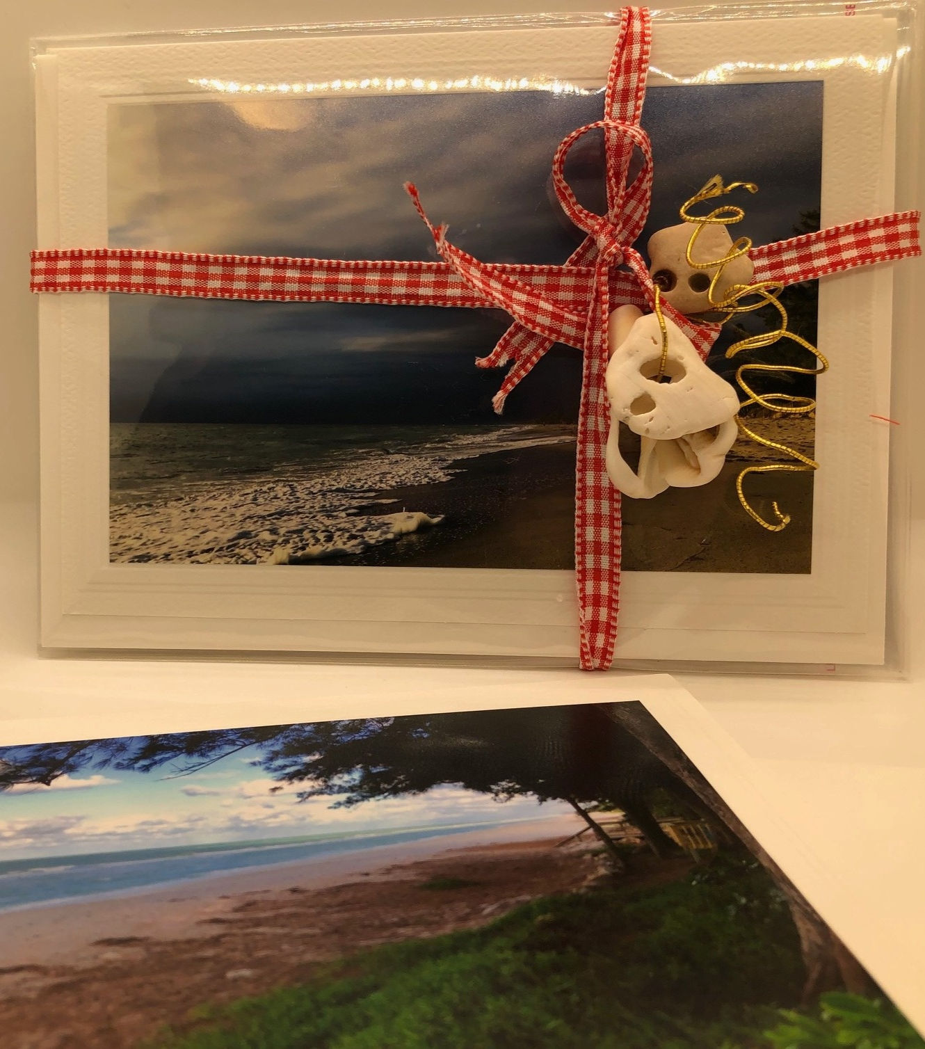 Pack of 6: 5 x7 Greeting Card Matted 4x6 Photo by Kara Zielke