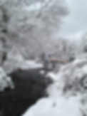 Connecticut Winter[A]5 x7 Greeting Card Matted 4x6 Photo of Image by Kar