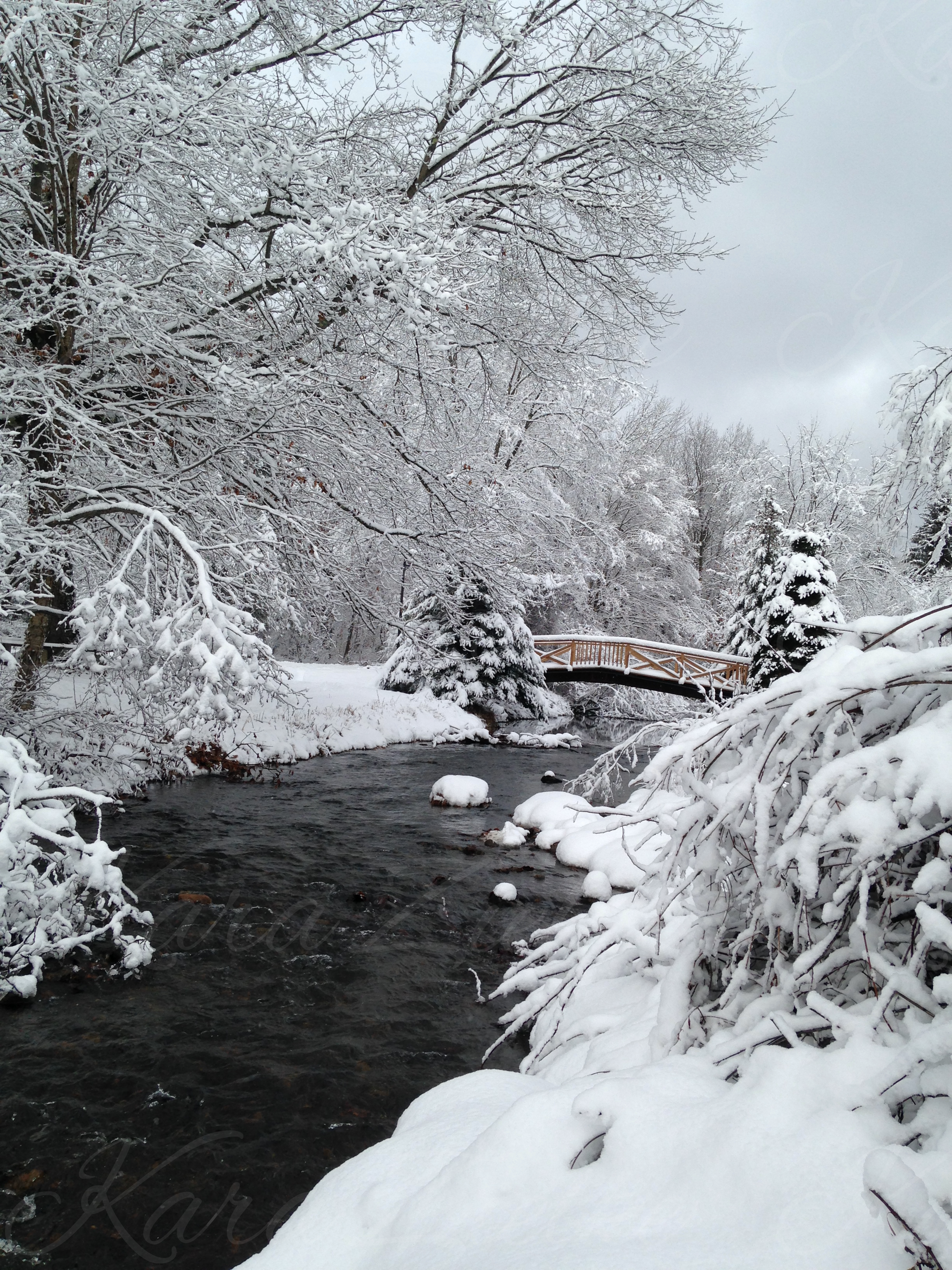 Connecticut Winter[A]5 x7 Greeting Card Matted 4x6 Photo of Image by Kar