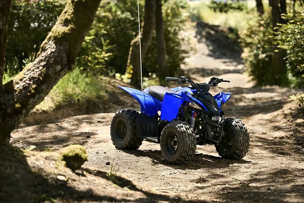Miniatura: YFZ50