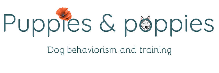 Puppies & poppies_edited.jpg