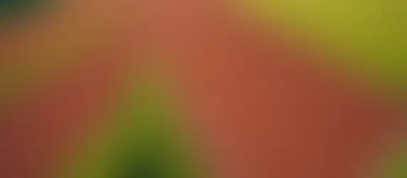 Understanding the Impact of Training in Hot Temperatures: Medical Considerations and Potential Adaptations