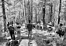 Forest Bathing
