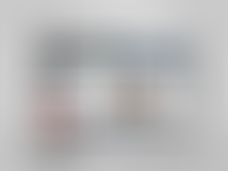 The Website of TuREEFF