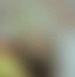 РОДОВО ИЗЕДНАЧУВАЊЕ ИЛИ ИЗОБЛИЧУВАЊЕ НА ЛИЧНОСТИТЕ