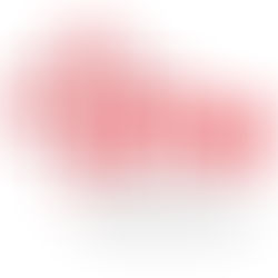 СТАВ НА ЕВАНГЕЛСКО-ПРОТЕСТАНТСКАТА ИНИЦИЈАТИВА ЗА ЗАКОНОТ ЗА РОДОВА ЕДНАКВОСТ