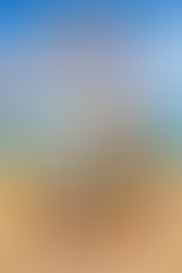 Spring Egg Hunt & Petting Zoo