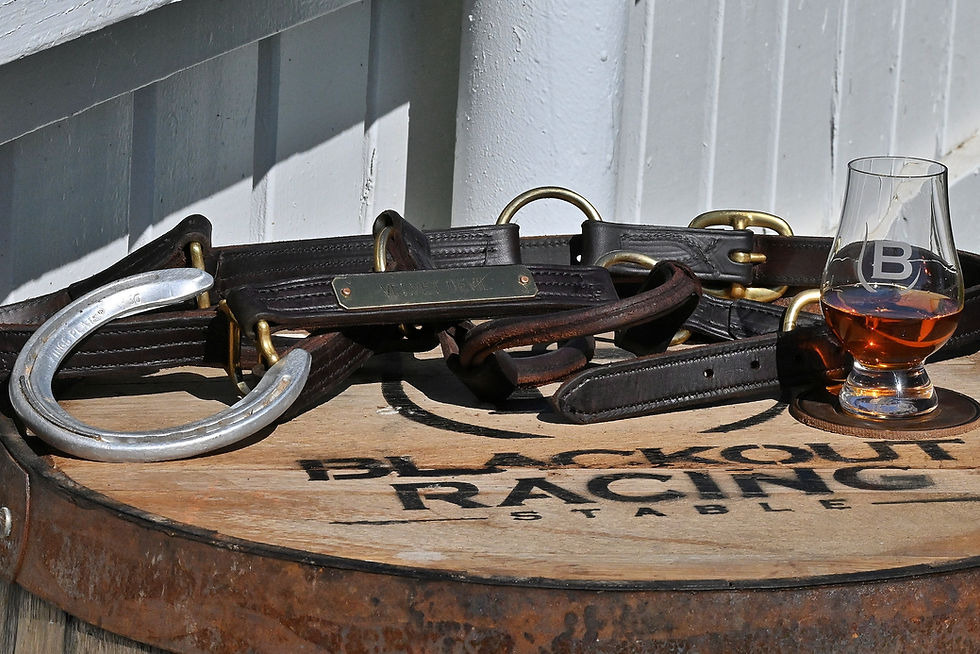 halters-horseshoe-glass-barrelhead.jpg