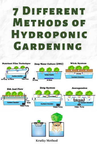 Hydroponics DIY Guide