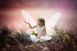 sammy flower fairy-