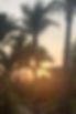 Atardecer Playa Bambuddha Acapulco