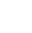 专业.png