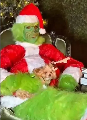 Celine Dion dressed as the Grinch in a red Santa suit with green fur, sitting in a chair holding a small dog wearing antlers, in a humorous and festive holiday setting.