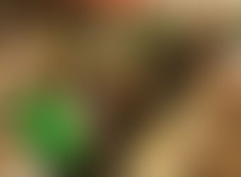 Volunteers at Feeding South Florida work together to pack and distribute food boxes for families in need, demonstrating the power of community support in the fight against hunger.