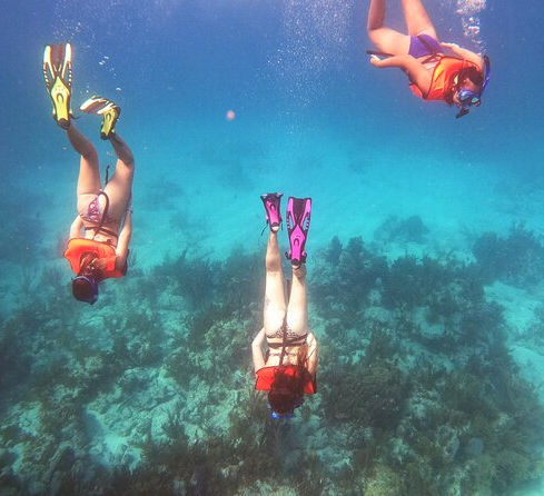 Immerse yourself in an unforgettable snorkeling adventure in the Florida Keys!