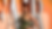Sheer Elegance: The Almost-Nude Celebrities Fashion Takeover at the 2025 Oscars