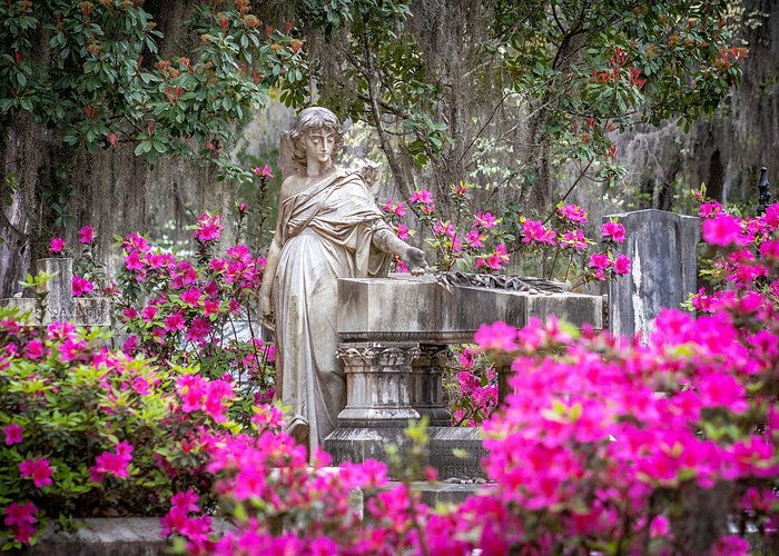 Take a journey with us through Savannah, Georgia and Old Town Trolley Tours exploring historic trolley stops, famous squares, River Street, the Savannah River, riverboat cruises, architecture, local legends, and the complicated history behind one of America’s most beautiful cities.