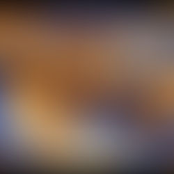 The iconic Warner Bros. Pictures logo — now at the center of Hollywood’s biggest bidding war, with Paramount, Netflix, and Comcast circling the studio giant in a high-stakes media showdown.