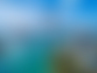 Take your Miami adventure to new heights on a top-rated helicopter tour—soaring above South Beach, Downtown, and the sparkling islands below.