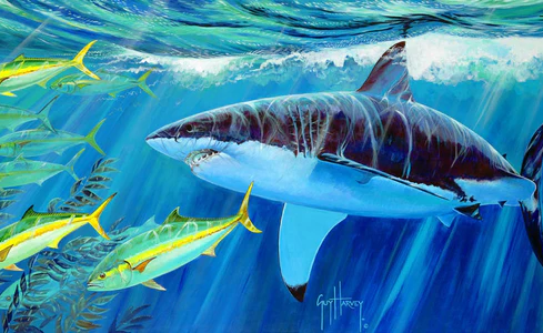 Celebrating World Ocean Day: Second Annual International Ocean Film Festival Makes Waves in South Florida