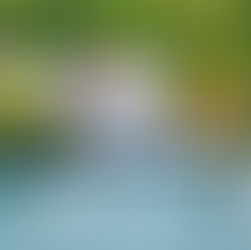 Luxury waterfront home in Miami with red tile roof, surrounded by palm trees, featuring a private dock and a white yacht moored in front.