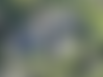 The Rich Getting Richer: Celebrity Business Moves This Week That Prove Fame Is a Fortune