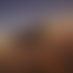 Private jet flying above the clouds during sunset, symbolizing luxury business travel and high-end private jet charter experiences.