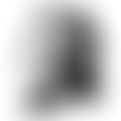 Mozart’s Lost Masterpiece: The Teenage Track That Could Have Dissed Beethoven