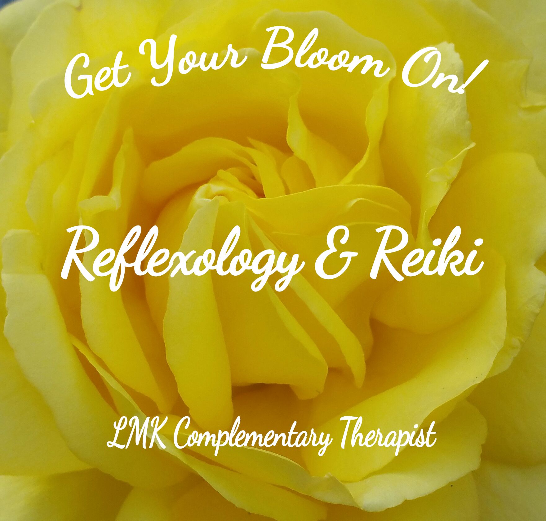 Get Your Bloom On