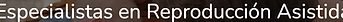 Seremi pabellon mayor.png
