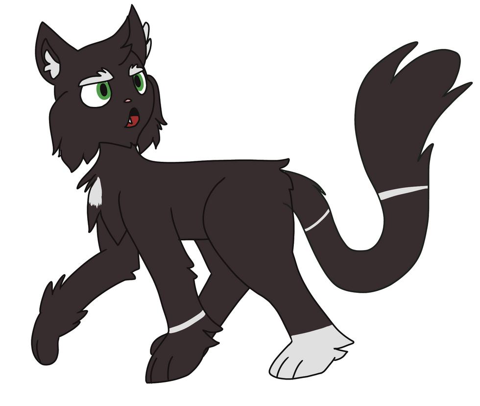 Simple Cat