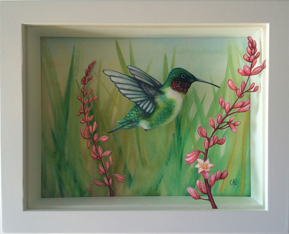 Hummingbird and Yucca