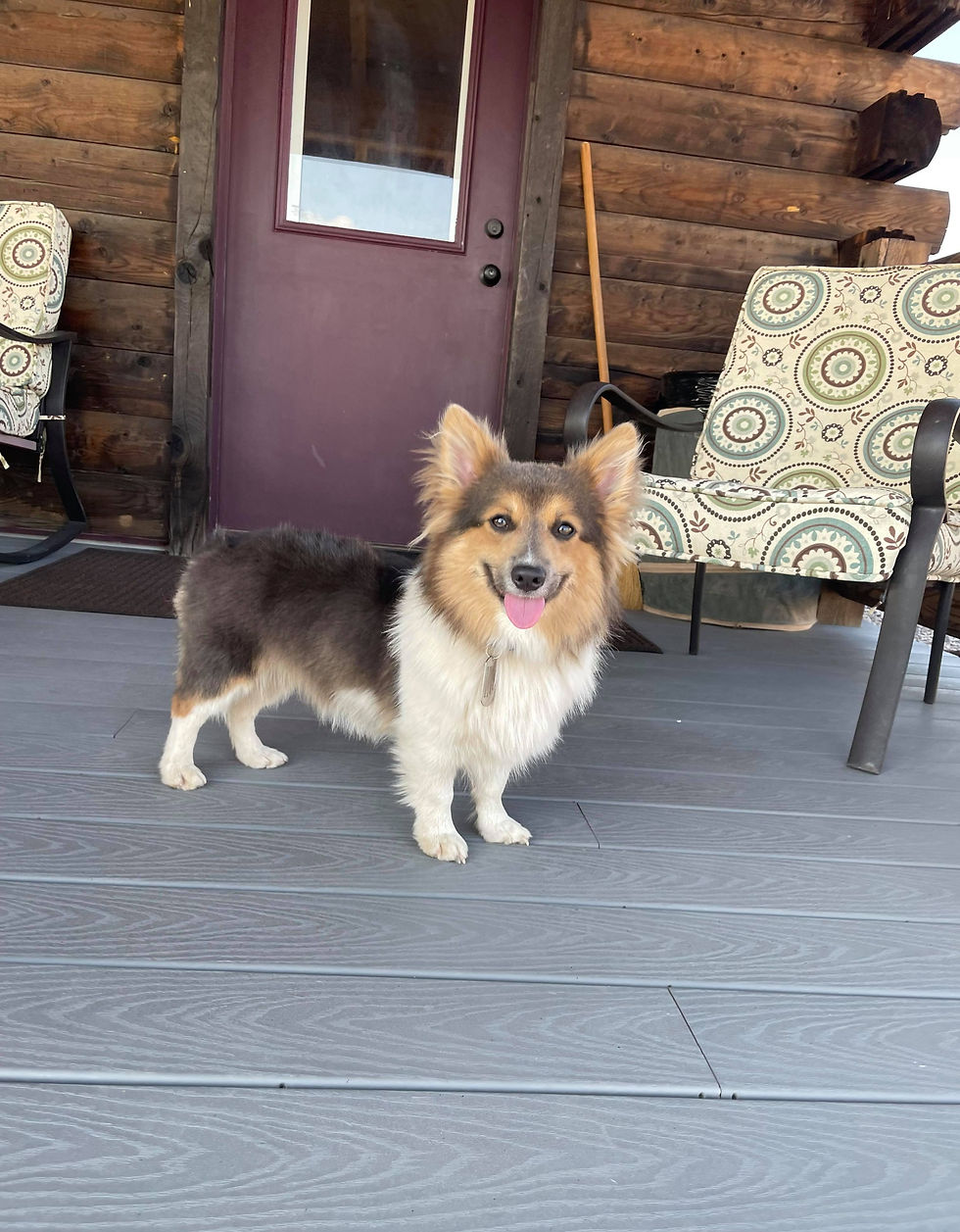 "Rue" - 10 months