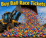 Ball race for web link.jpg